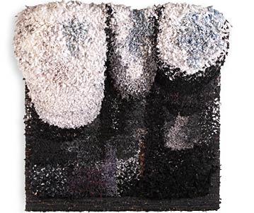 bild:0802_Entwicklung