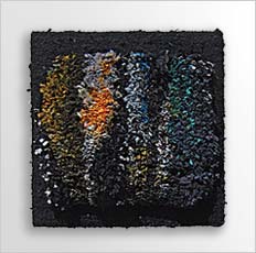 bild:0804_Keimende Freude